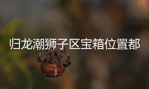 宝箱哪里箱位享区宝潮狮子区置分归龙 归都在位置龙潮狮子